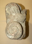 grafika